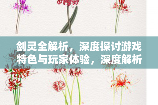 剑灵全解析，深度探讨游戏特色与玩家体验，深度解析，揭秘剑灵游戏特色与玩家体验