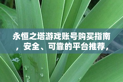 安全可靠的永恒之塔游戏账号购买平台推荐图片