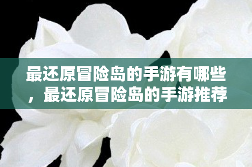 最还原冒险岛的手游有哪些图片