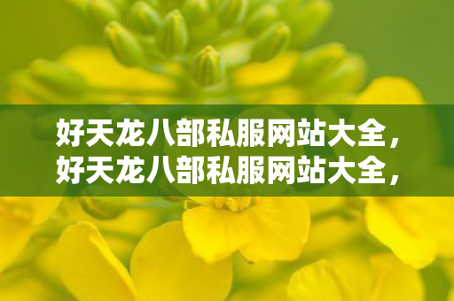 好天龙八部私服网站大全，好天龙八部私服网站大全，畅游武侠世界必备！