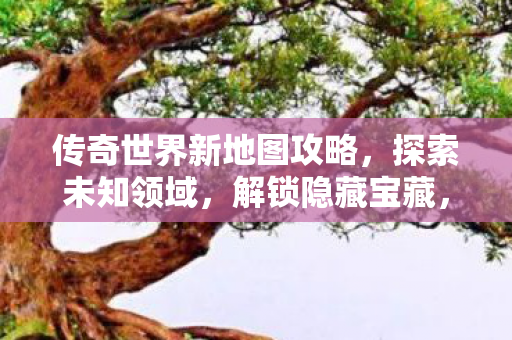 解锁传奇世界隐藏宝藏图片