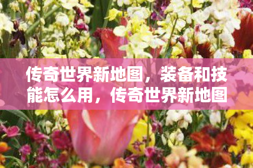 装备与技能使用指南图片