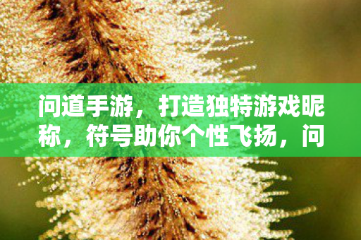 打造独特游戏昵称图片