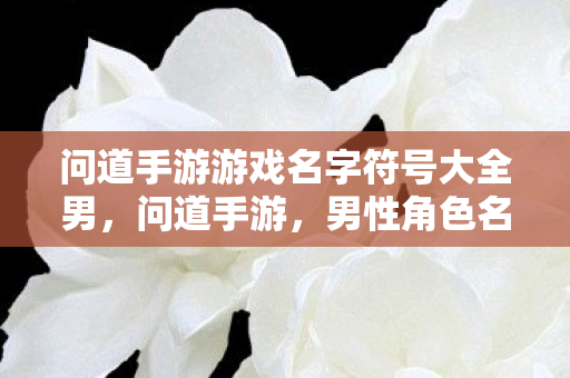 问道手游游戏名字符号大全男图片