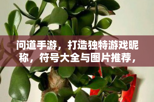 符号大全与图片推荐图片