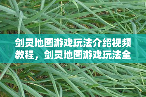 剑灵地图游戏玩法介绍视频教程图片