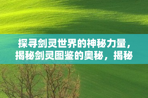揭秘剑灵世界的神秘力量与图鉴奥秘图片