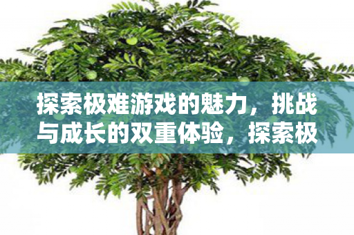 探索极难游戏的魅力,挑战与成长的双重体验,探索极难游戏的魅力,挑战与成长的双重体验 探索极难游戏的魅力,挑战与成长的双重体验,探索极难游戏的魅力,挑战与成长的双重体验