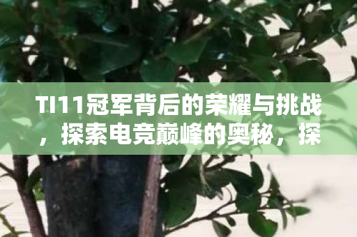 TI11冠军背后的荣耀与挑战，探索电竞巅峰的奥秘，探索TI11冠军背后的荣耀与挑战，揭秘电竞巅峰的奥秘