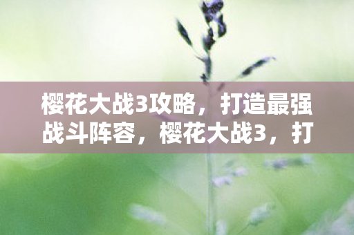 樱花大战3攻略，打造最强战斗阵容，樱花大战3，打造无敌战斗阵容的攻略