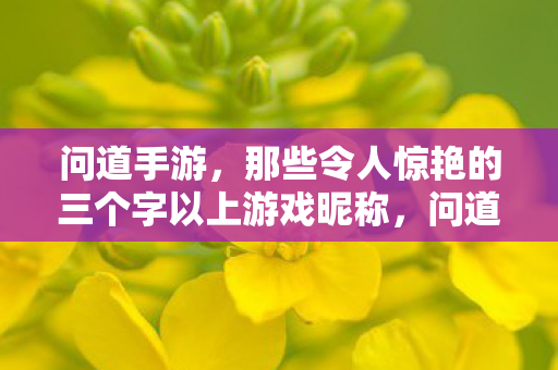 那些令人惊艳的三个字以上游戏昵称图片