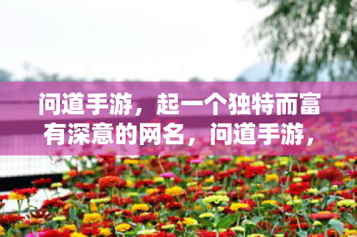 问道手游,起一个独特而富有深意的网名,问道手游,独步仙境,深意网名 问道手游,起一个独特而富有深意的网名,问道手游,独步仙境,深意网名