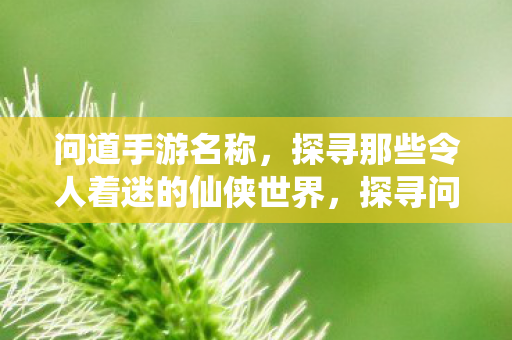 探寻那些令人着迷的仙侠世界图片