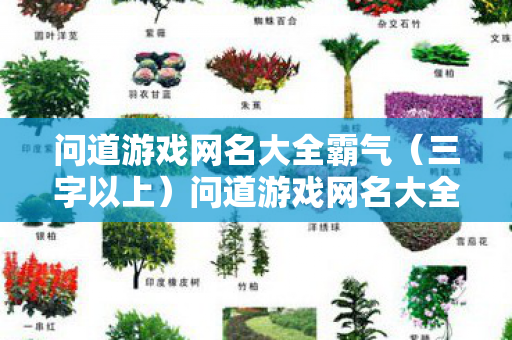 问道游戏网名大全霸气（三字以上）问道游戏网名大全，霸气、独特、好听的三字以上名字推荐