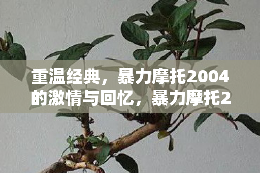 重温经典，暴力摩托2004的激情与回忆，暴力摩托2004，重温经典，点燃激情与回忆