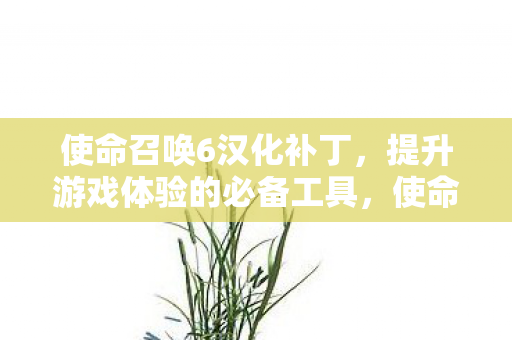 使命召唤6汉化补丁,提升游戏体验的必备工具,使命召唤6汉化补丁,提升游戏体验的必备工具 使命召唤6汉化补丁,提升游戏体验的必备工具,使命召唤6汉化补丁,提升游戏体验的必备工具