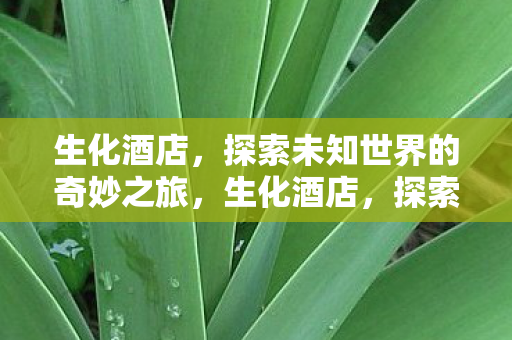 生化酒店,探索未知世界的奇妙之旅,生化酒店,探索未知世界的奇妙之旅 生化酒店,探索未知世界的奇妙之旅,生化酒店,探索未知世界的奇妙之旅