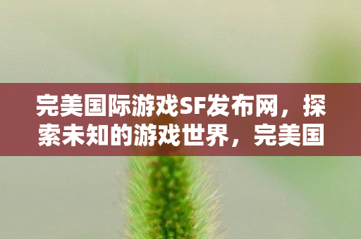 完美国际游戏SF发布网，探索未知的游戏世界，完美国际游戏SF发布网，探索未知的游戏世界