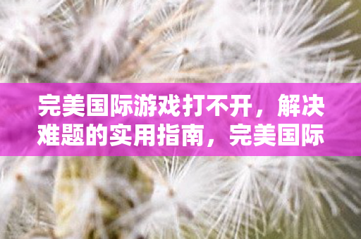 完美国际游戏打不开图片