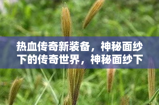 神秘面纱下的传奇世界图片