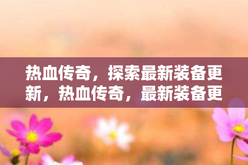 最新装备更新全解析图片