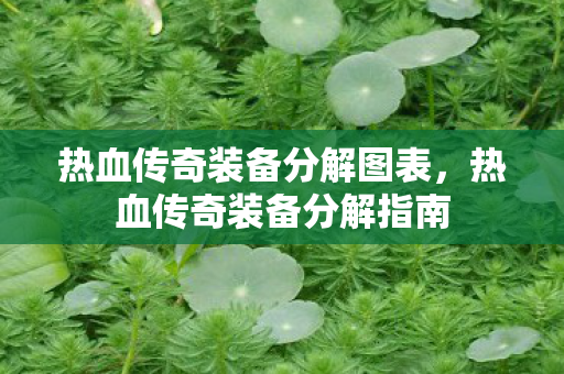 热血传奇装备分解图表图片