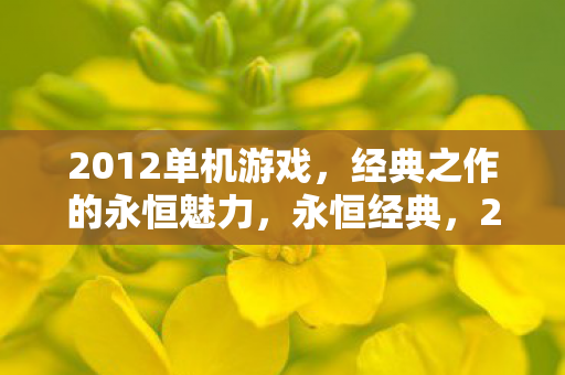 2012单机游戏，经典之作的永恒魅力，永恒经典，2012年单机游戏的魅力