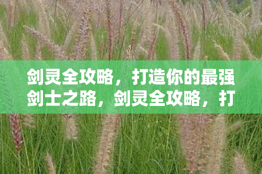 剑灵全攻略,打造你的最强剑士之路,剑灵全攻略,打造最强剑士之路 剑灵全攻略,打造你的最强剑士之路,剑灵全攻略,打造最强剑士之路