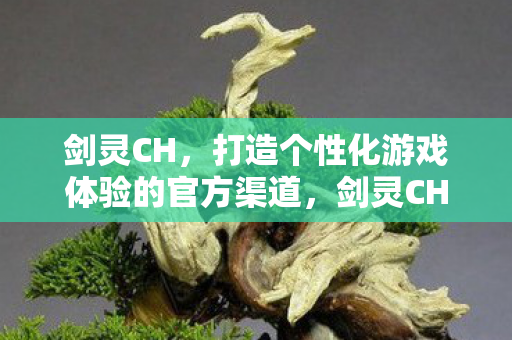 剑灵CH，打造个性化游戏体验的官方渠道，剑灵CH，个性化游戏体验的官方渠道