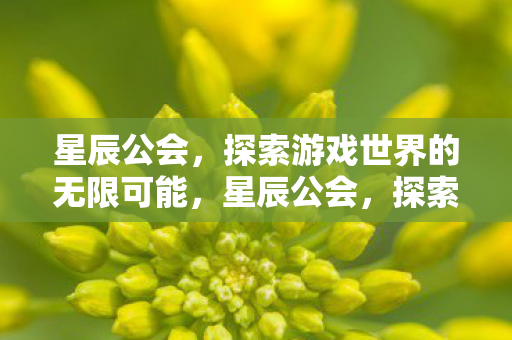 星辰公会,探索游戏世界的无限可能,星辰公会,探索游戏世界的无限可能 星辰公会,探索游戏世界的无限可能,星辰公会,探索游戏世界的无限可能
