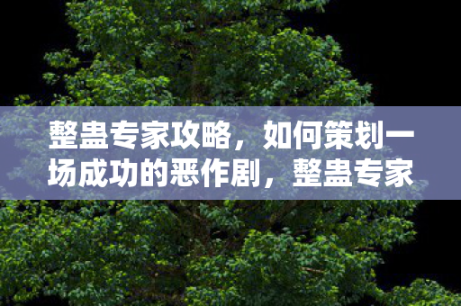 整蛊专家攻略，如何策划一场成功的恶作剧，整蛊专家攻略，策划一场成功的恶作剧