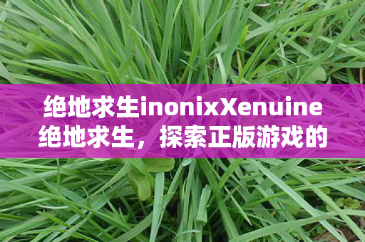 绝地求生inonixXenuine绝地求生，探索正版游戏的魅力与未来，探索正版魅力，体验未来游戏，InonixXenuine绝地求生