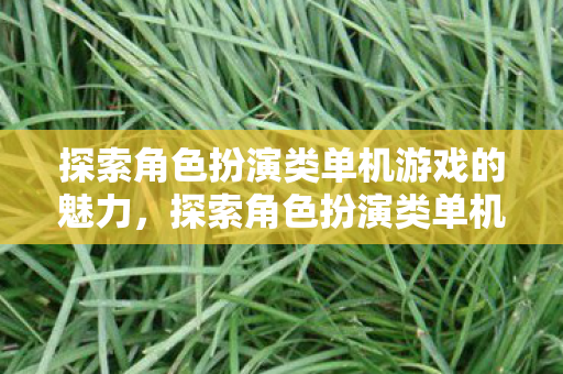 探索角色扮演类单机游戏的魅力,探索角色扮演类单机游戏的独特魅力 探索角色扮演类单机游戏的魅力,探索角色扮演类单机游戏的独特魅力