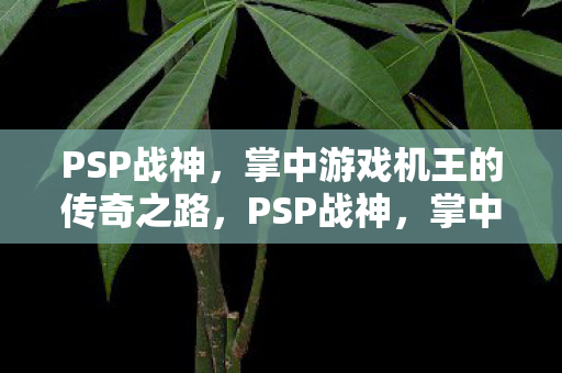 PSP战神,掌中游戏机王的传奇之路,PSP战神,掌中游戏机王的传奇之路 PSP战神,掌中游戏机王的传奇之路,PSP战神,掌中游戏机王的传奇之路