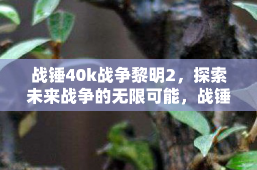 战锤40k战争黎明2，探索未来战争的无限可能，战锤40k战争黎明2，探索未来战争的新纪元