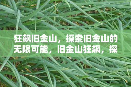 狂飙旧金山,探索旧金山的无限可能,旧金山狂飙,探索无限可能之旅 狂飙旧金山,探索旧金山的无限可能,旧金山狂飙,探索无限可能之旅