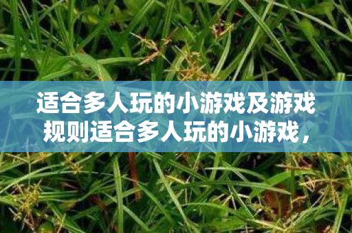 适合多人玩的小游戏及游戏规则适合多人玩的小游戏,谁是卧底,谁是卧底,适合多人玩的趣味小游戏及规则 适合多人玩的小游戏及游戏规则适合多人玩的小游戏,谁是卧底,谁是卧底,适合多人玩的趣味小游戏及规则