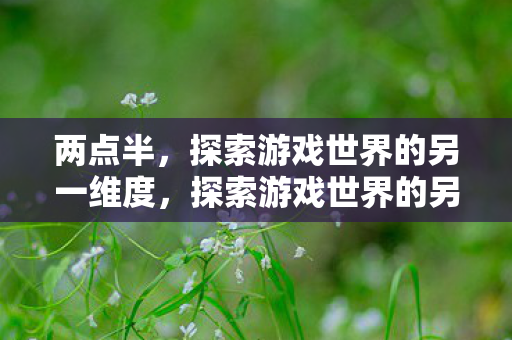 两点半，探索游戏世界的另一维度，探索游戏世界的另一维度，两点半的奇遇