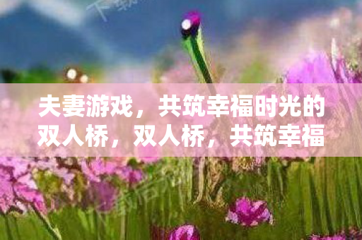 夫妻游戏，共筑幸福时光的双人桥，双人桥，共筑幸福时光的夫妻游戏