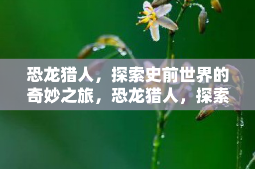 恐龙猎人，探索史前世界的奇妙之旅，恐龙猎人，探索史前世界的奇妙之旅