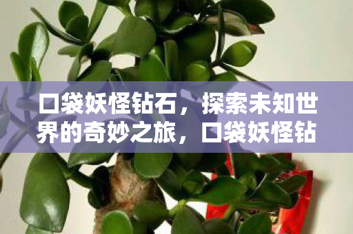 口袋妖怪钻石，探索未知世界的奇妙之旅，口袋妖怪钻石，开启未知世界的奇妙探险之旅