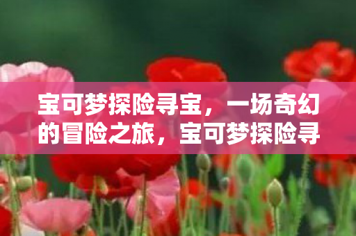 宝可梦探险寻宝，一场奇幻的冒险之旅，宝可梦探险寻宝，奇幻冒险之旅开启