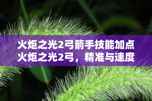 火炬之光2弓箭手技能加点火炬之光2弓,精准与速度的完美结合,精准与速度,火炬之光2弓箭手技能加点指南 火炬之光2弓箭手技能加点火炬之光2弓,精准与速度的完美结合,精准与速度,火炬之光2弓箭手技能加点指南