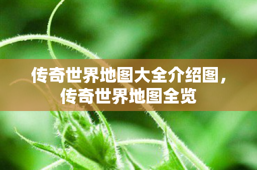 传奇世界地图大全介绍图，传奇世界地图全览