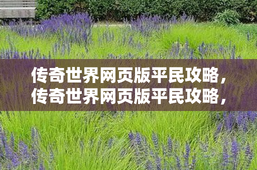 传奇世界网页版平民攻略图片