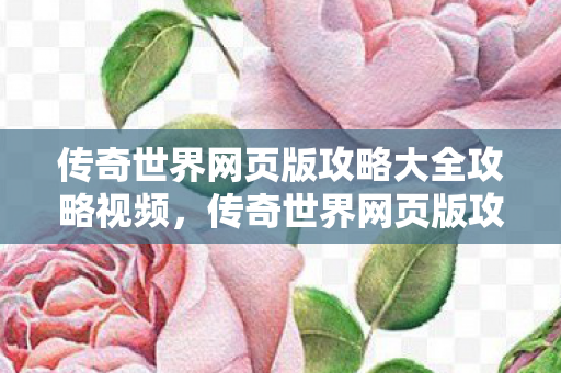 传奇世界网页版攻略大全攻略视频图片