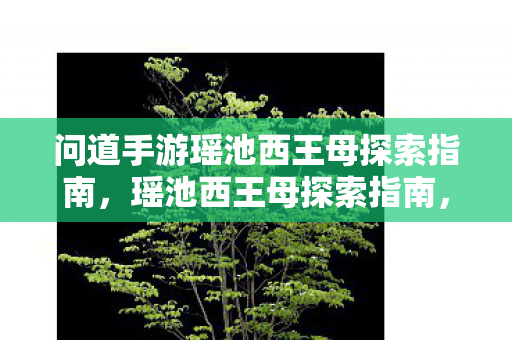 问道手游瑶池西王母探索指南，瑶池西王母探索指南，问道手游攻略