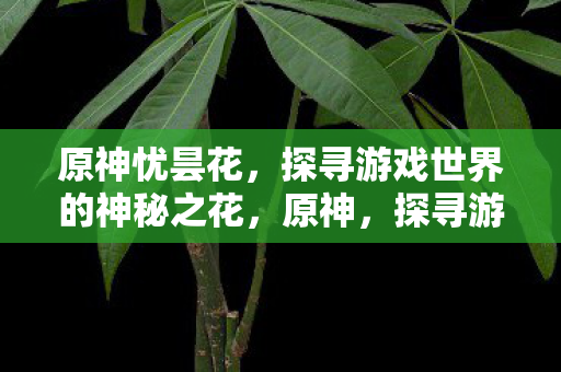原神忧昙花，探寻游戏世界的神秘之花，原神，探寻游戏世界的神秘之花——忧昙花