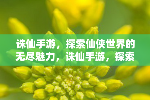 探索仙侠世界的无尽魅力图片
