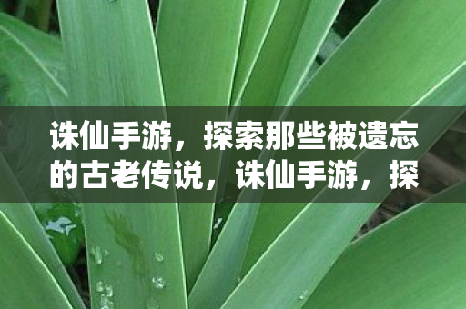 探索那些被遗忘的古老传说图片